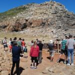 1 best of cape private tour penguins and wines in constantia Best of Cape Private Tour, Penguins and Wines in Constantia