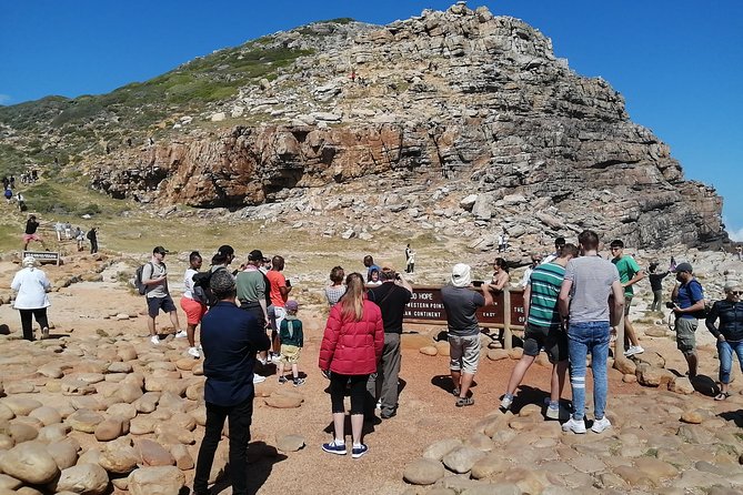 Best of Cape Private Tour, Penguins and Wines in Constantia