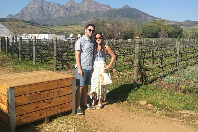 Best of the Winelands Private Tour