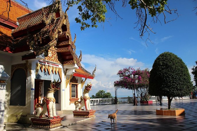 Best Six Chiang Mai Temple Tour Doi Suthep Including Lunch (Minimum 2 Pax)