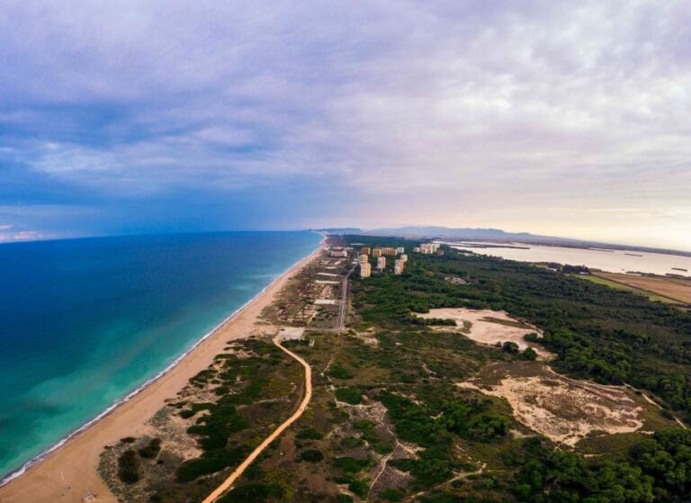 Bike Tour to Albufera Lake – Private Half Day