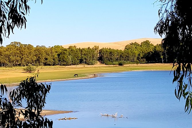 Bike Tour to Lake Miglionico With Beer and Focaccia