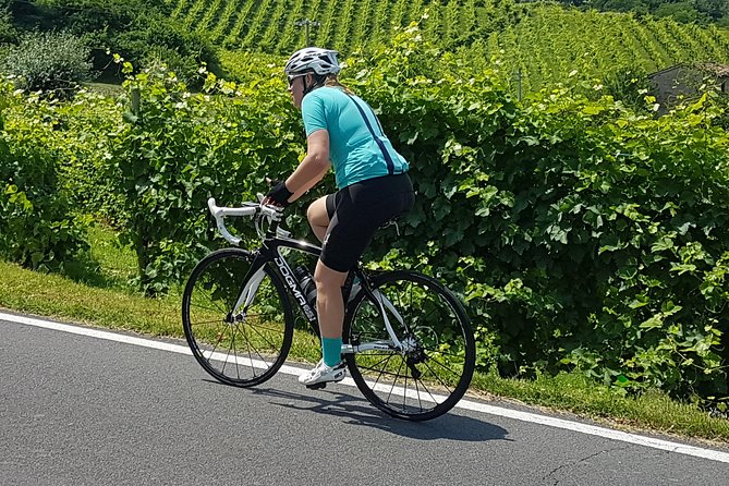Bike Tours On The Wine Route Prosecco Valdobbiadene Unesco