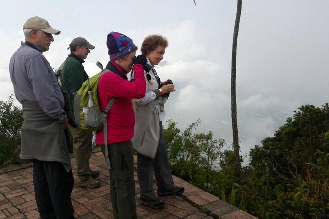 Birding & Nature to Chicaque Cloud Forest Nature Reserve