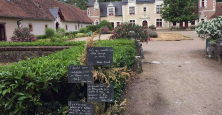 Blois: Exclusive Wine Tasting in Cheverny and Cour Cheverny