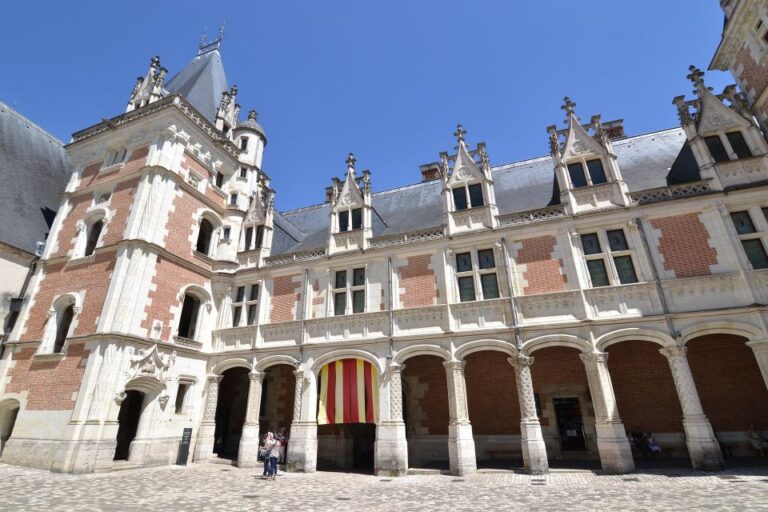 Blois: Private Tour of Blois Castle With Entry Tickets