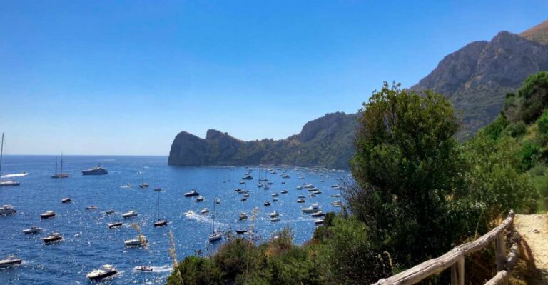 Boat Tour Dinner Experience in Nerano or Amalfi