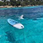 1 boat trip to the lerins islands and cannes Boat Trip to the Lérins Islands and Cannes