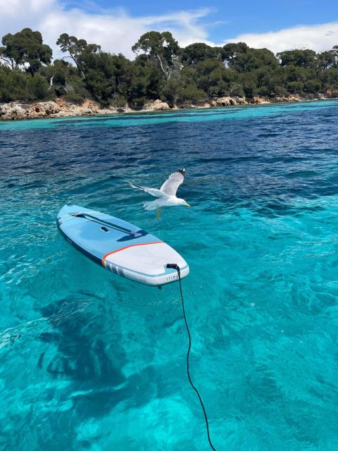 Boat Trip to the Lérins Islands and Cannes