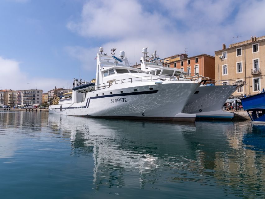 1 boat walk in sete on the singular island 1 hour Boat Walk in Sete on the Singular Island 1 Hour