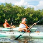 1 boca ciega bay island kayak tour Boca Ciega Bay Island Kayak Tour