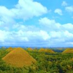 1 bohol countryside day tour from cebu city or mactan best seller Bohol Countryside Day Tour From Cebu City or Mactan - Best Seller