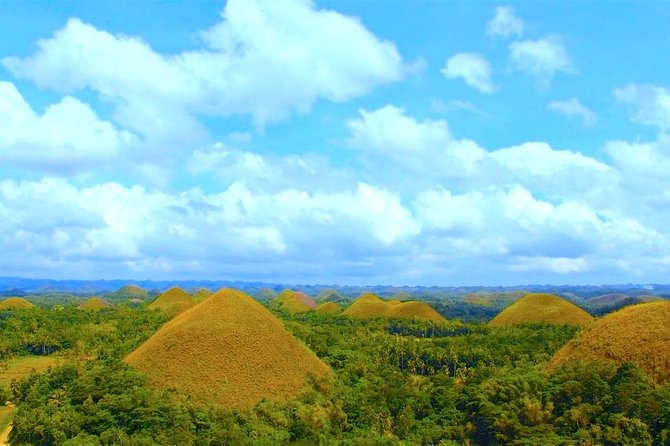 Bohol Countryside Day Tour From Cebu City or Mactan – Best Seller
