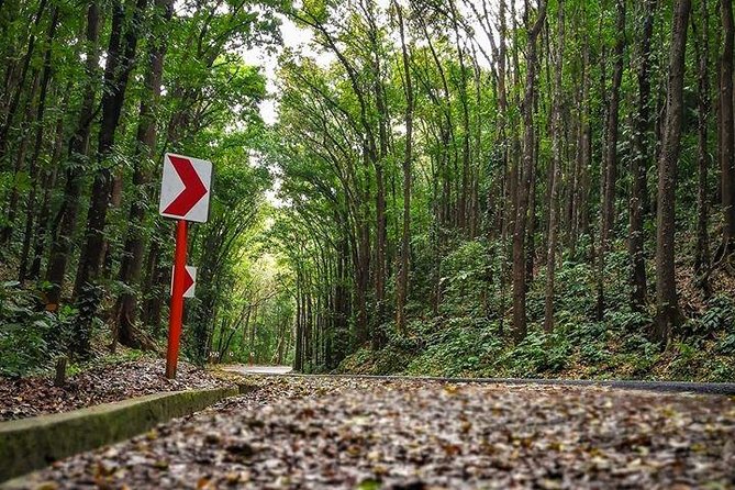 BOHOL Tour  – Chocolate Hills, Tarsier and River Cruise Lunch