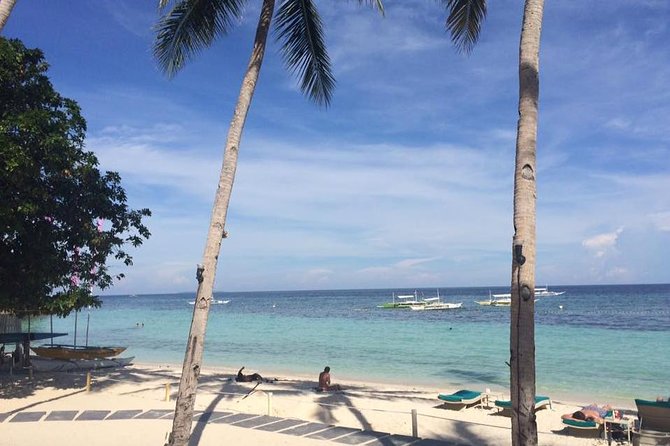 Bohols Panglao Island Half Day Land & Half Day Island Hopping (Cebu or Bohol)