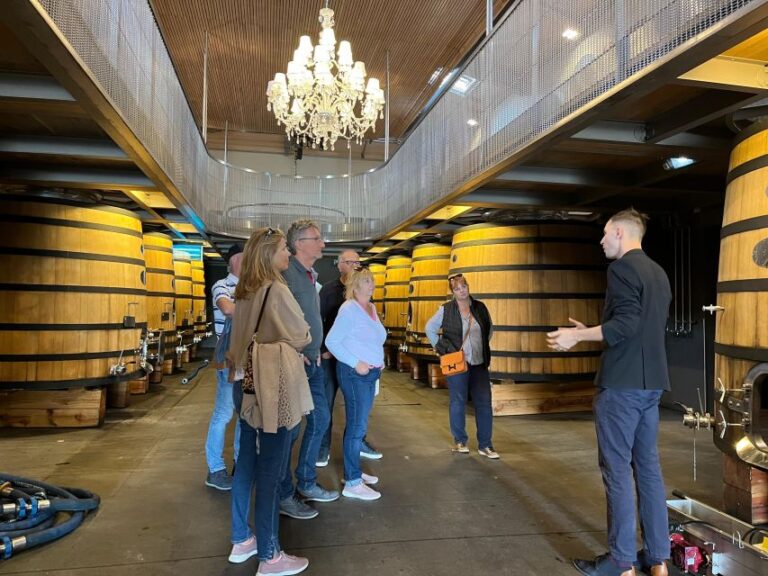 Bordeaux: Saint-Émilion Wine Tour in a Small Group
