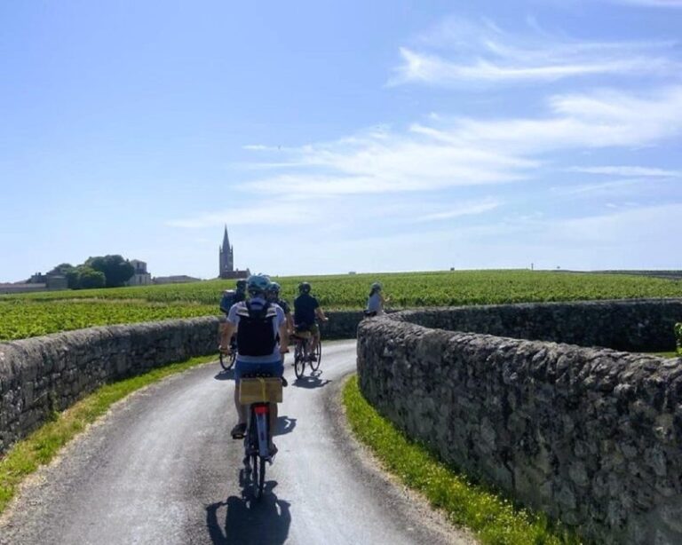 Bordeaux: St-Emilion Vineyards E-Bike Tour With Wine & Lunch