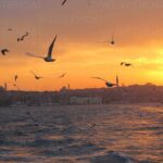 1 bosphorus sunset serenity cruise embark on a twilight odyssey Bosphorus Sunset Serenity Cruise: Embark on a Twilight Odyssey