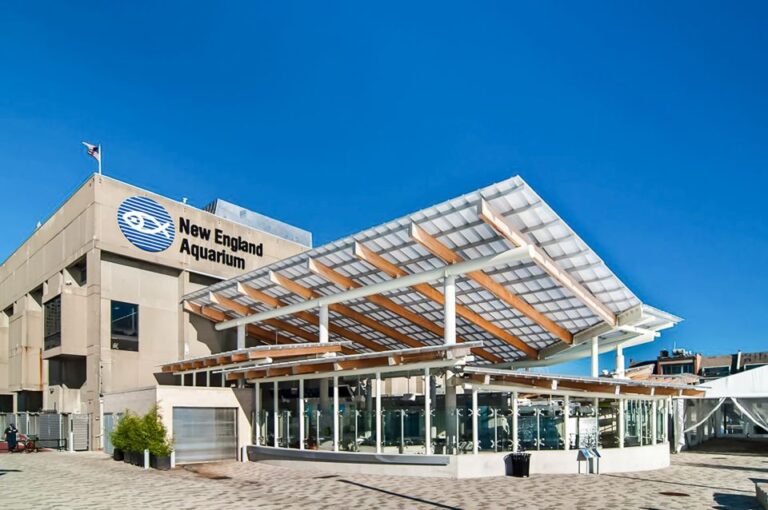 Boston: New England Aquarium Skip-the-Line Entry Ticket