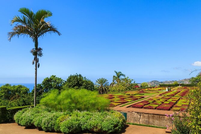 Botanical Gardens Tuk-Tuk Tour