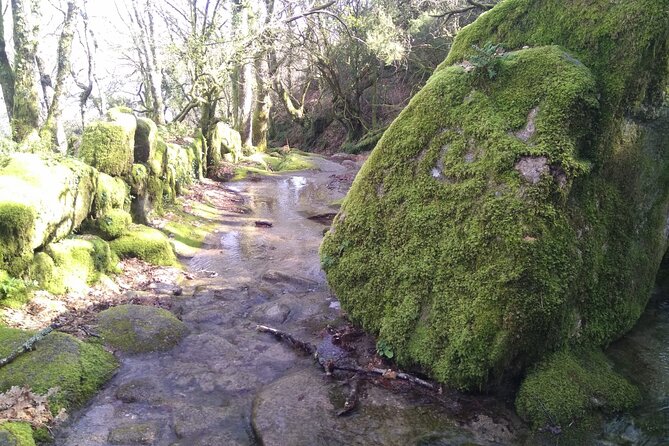 1 breathtaking nature in geres park private tour from porto Breathtaking Nature in Gerês Park - Private Tour From Porto