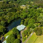 1 brisbane tamborine mountain local winery tour with lunch Brisbane/Tamborine Mountain: Local Winery Tour With Lunch