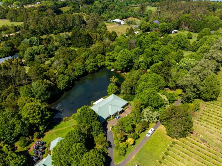 Brisbane/Tamborine Mountain: Local Winery Tour With Lunch