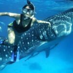 1 budgeted bohol to oslob cebu whale shark experience Budgeted: Bohol to Oslob Cebu Whale Shark Experience