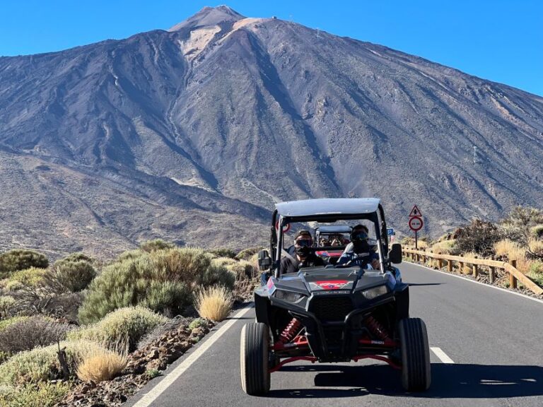 Buggy Tour Volcano Teide With Wine Degustation