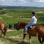 1 burgundy horse riding tour in chablis Burgundy : Horse Riding Tour in Chablis