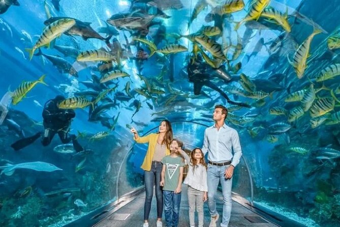 Burj Khalifa and Dubai Mall Aquarium Combo Deal