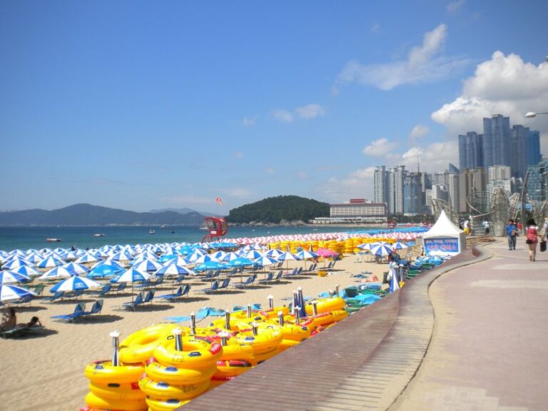Busan Private Tour With a Local