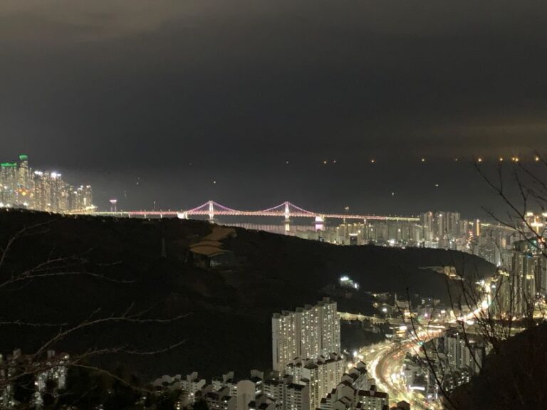 Busan: the Best Night View Small Group Tour