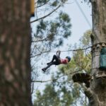 1 busselton forest adventure with zip lining and rope course Busselton: Forest Adventure With Zip Lining and Rope Course