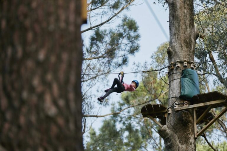 Busselton: Forest Adventure With Zip Lining and Rope Course