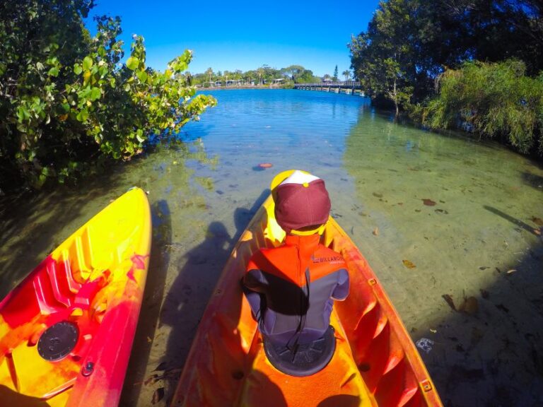 Byron Bay: Brunswick River Scenic Kayak Tour