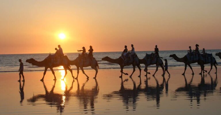 Cable Beach: 1-Hour Sunset Camel Ride