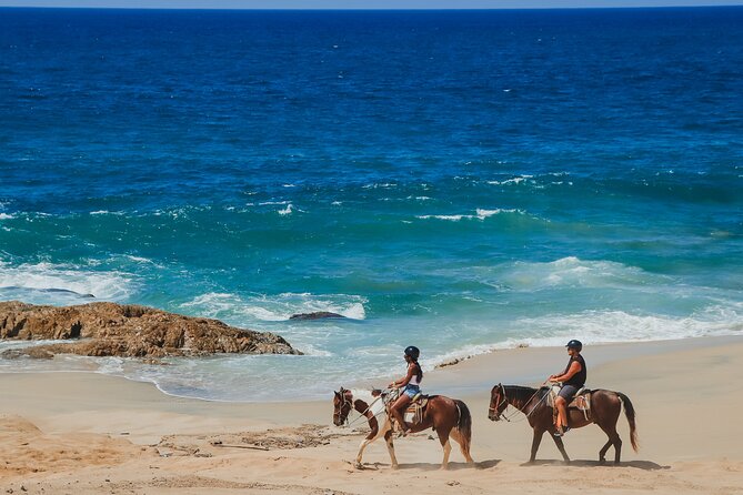 1 cabo horseback riding on pacific beach and desert Cabo Horseback Riding on Pacific Beach and Desert