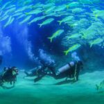 1 cabo san lucas beginner scuba diving experience Cabo San Lucas Beginner Scuba Diving Experience