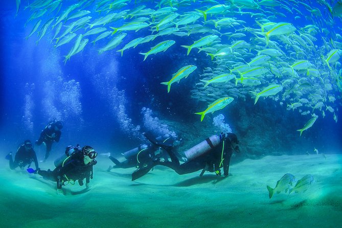 Cabo San Lucas Beginner Scuba Diving Experience