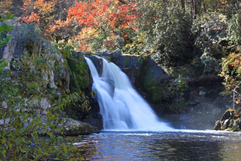 Cades Cove: Self-Guided Sightseeing and Driving Audio Tour