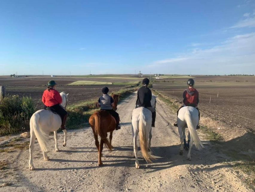 Cádiz Country Side: Ride an Andalusian Horse