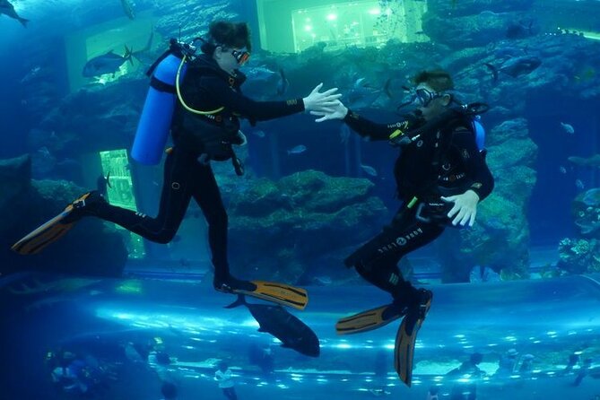 1 cage snorkeling dubai mall aquarium Cage Snorkeling Dubai Mall Aquarium