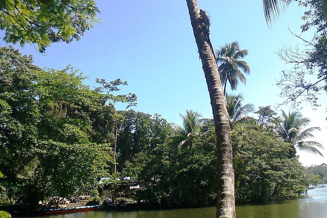 Cahuita National Park - Transportation Options