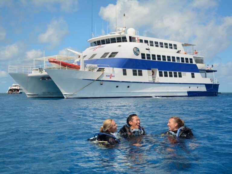 Cairns: 4-Day PADI Open Water Course