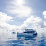 1 cairns great barrier reef overnight snorkeling boat trip Cairns: Great Barrier Reef Overnight Snorkeling Boat Trip