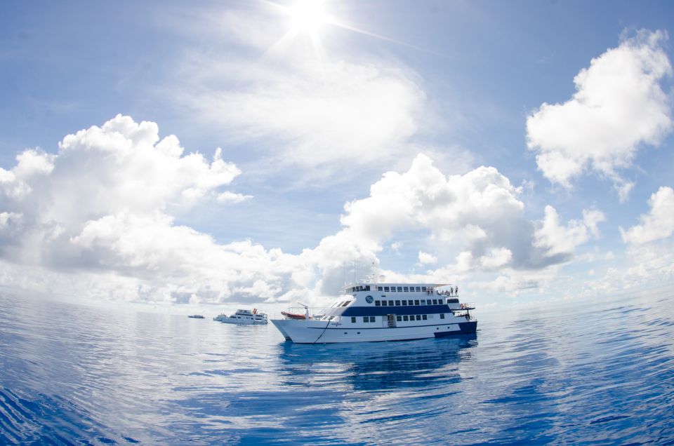 1 cairns great barrier reef overnight snorkeling boat trip Cairns: Great Barrier Reef Overnight Snorkeling Boat Trip