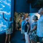 1 cairns night at the aquarium guided tour 2 course dinner Cairns: Night at the Aquarium Guided Tour & 2 Course Dinner