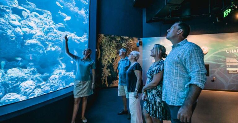 Cairns: Night at the Aquarium Guided Tour & 2 Course Dinner