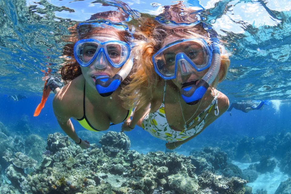 1 cairns outer great barrier reef full day tour with lunch Cairns: Outer Great Barrier Reef Full-Day Tour With Lunch